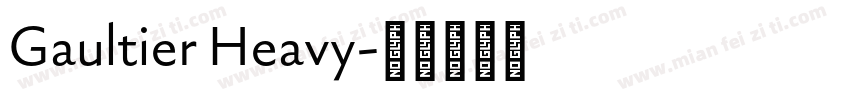 Gaultier Heavy字体转换